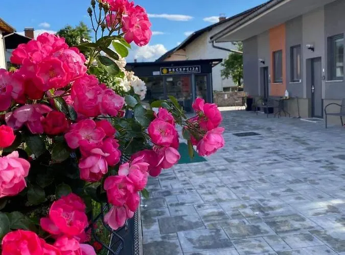 Apartment Drevi Ljubljana